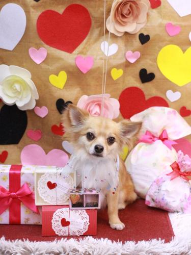 20230207かぶ蔵くん